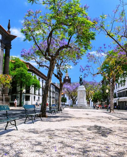 MMM_funchal_destino